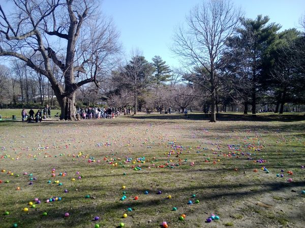 easter egg hunt in prospect park